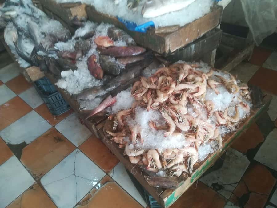 Hurghada: Private Guide City Tour & Shopping Stop - Hurghada fish market and the fishing village feeling