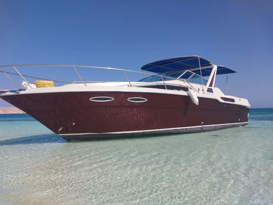 Hurghada: Private Luxury Speedboat W Snorkelling & Fruits - Private Luxury Speedboat from Hurghada: why this format works