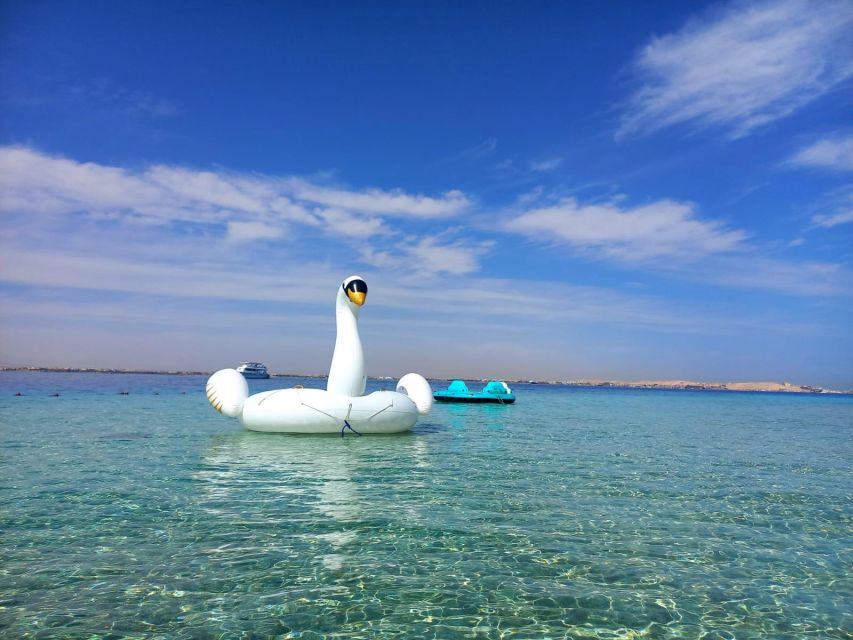 Hurghada: Private Luxury Speedboat W Snorkelling & Fruits - Dolphin time: how to think about it realistically