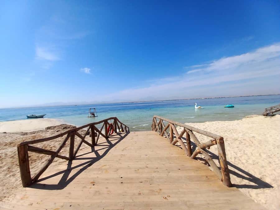 Hurghada: Private Speedboat to Magawish Island - Who should book this private Magawish boat day?