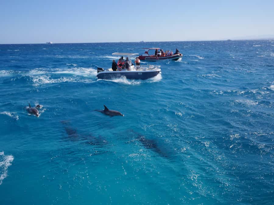 Hurghada: Private Speedboat to Orange Bay and White Island - Giftun Island snorkeling: gear included, guide doing the hard work