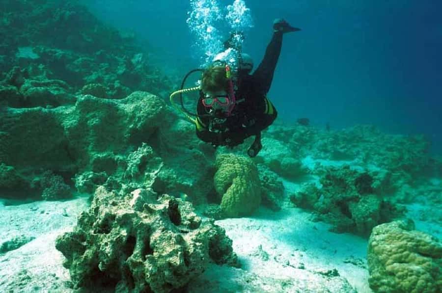 Hurghada, Professionals Diving in Open Water Tour with Lunch - Key Things You’ll Notice on This Hurghada Open-Water Scuba Day