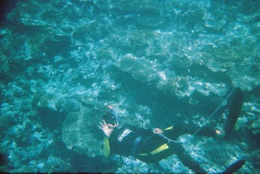 Hurghada, Professionals Diving in Open Water Tour with Lunch - Hurghada to the Red Sea: A Full 8-Hour Day That Stays Simple