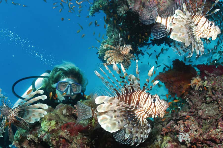 Hurghada, Professionals Diving in Open Water Tour with Lunch - Comfort, Safety, and Consistency: The Quality Notes You Should Pay Attention To
