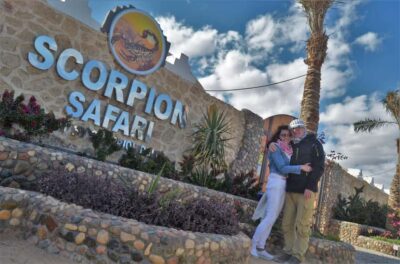 Hurghada: Quad and Buggy Safari with Dinner and Show - Buggy Time: The 15-Minute Change of Pace