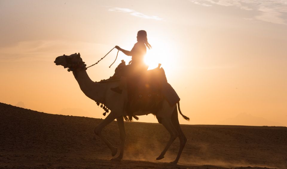 Hurghada: Quad Bike Safari, Camel Horse Ride, Dinner & Shows - The Oasis Farm Stop: Animals, Photos, and a Short Cultural Lesson