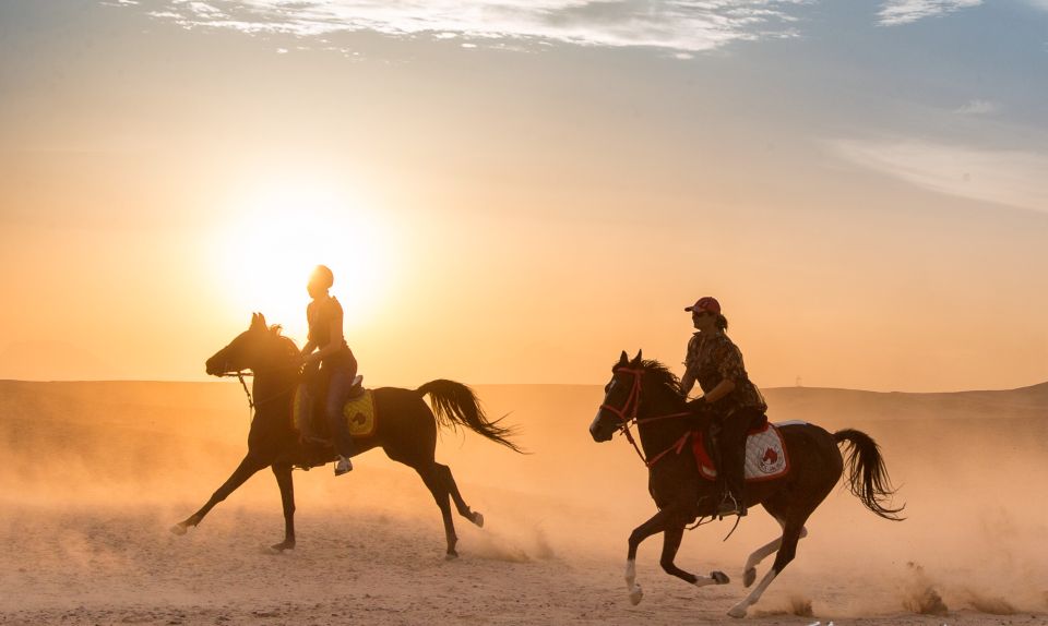 Hurghada: Quad Bike Safari, Camel Horse Ride, Dinner & Shows - Stargazing With a Telescope: The Best Part If You Like Real Explanations