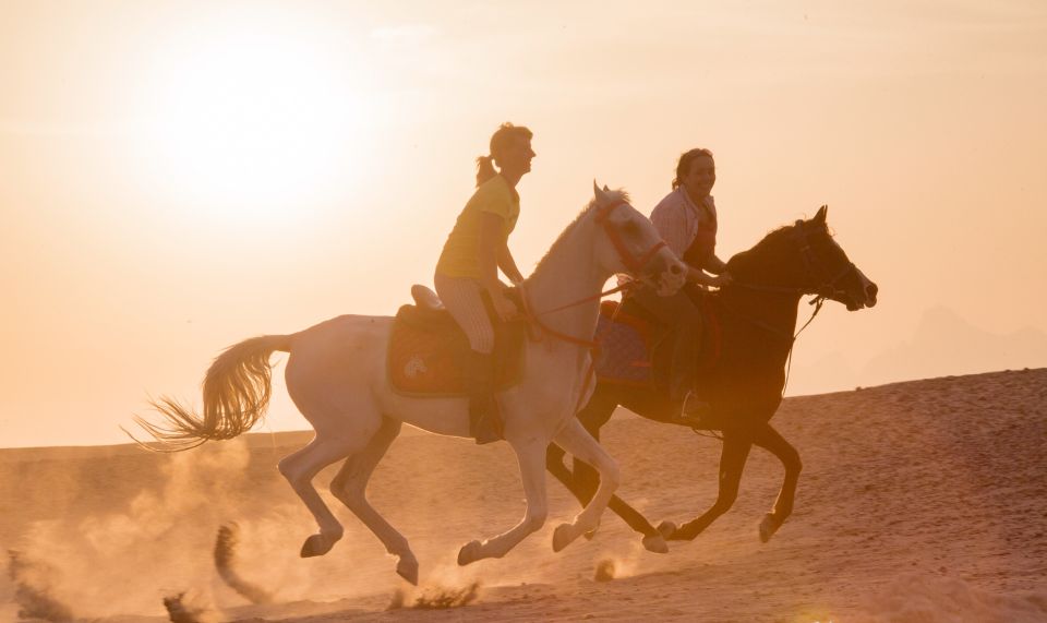 Hurghada: Quad Bike Safari, Camel Horse Ride, Dinner & Shows - Price and Value: Is $65 a Fair Deal?