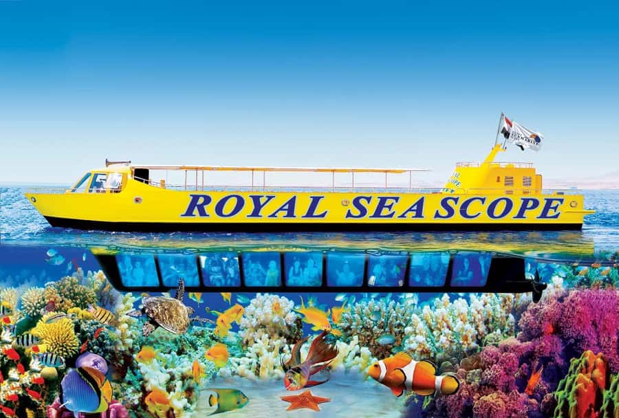 Hurghada: Royal Seascope Submarine Cruise with Snorkel Stop - What I like: the underwater comfort and the timing