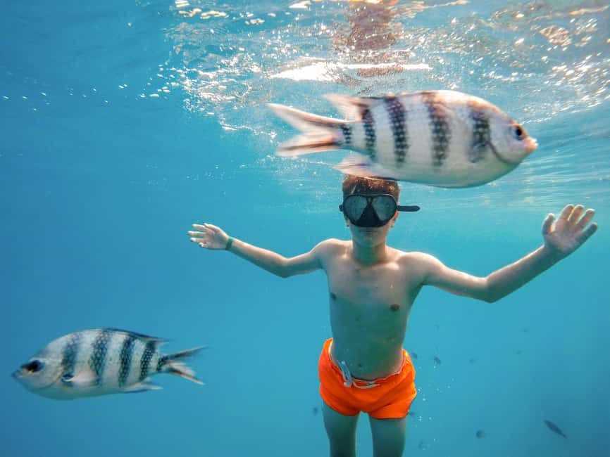 Hurghada: Scenic Submarine Tour with Snorkeling and Transfer - Going Down: The 3–5 Meter Window Into Marine Life