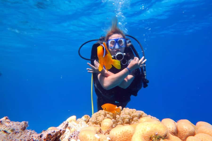 Hurghada: Scuba Diving cruise with lunch & pickup - Hurghada Pickup to Marina: the part that sets your whole day
