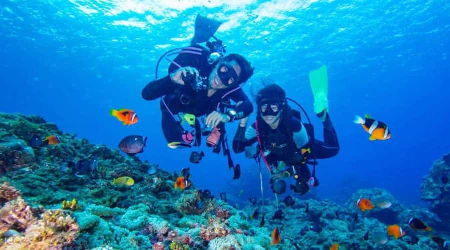 Hurghada: Scuba Diving cruise with lunch & pickup - Abu Ramada or Small Giftun: where the water does the talking