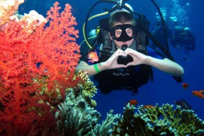 Hurghada: Scuba Diving cruise with lunch & pickup - Gear Fitting and Instructor Time: what beginner vs. experienced really means