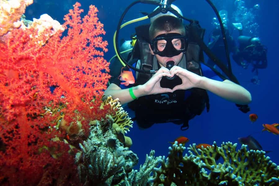 Hurghada: Scuba Diving cruise with lunch & pickup - Gear Fitting and Instructor Time: what beginner vs. experienced really means