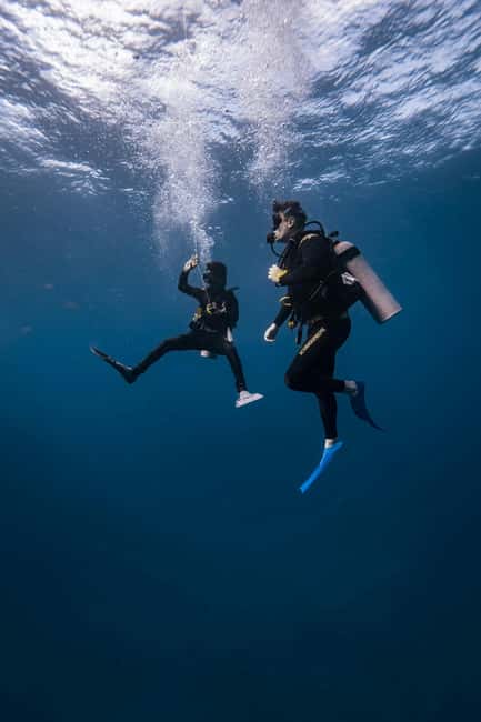 Hurghada: Scuba Diving for Beginners & Certified Divers - Price and value: why this one can be a smart booking
