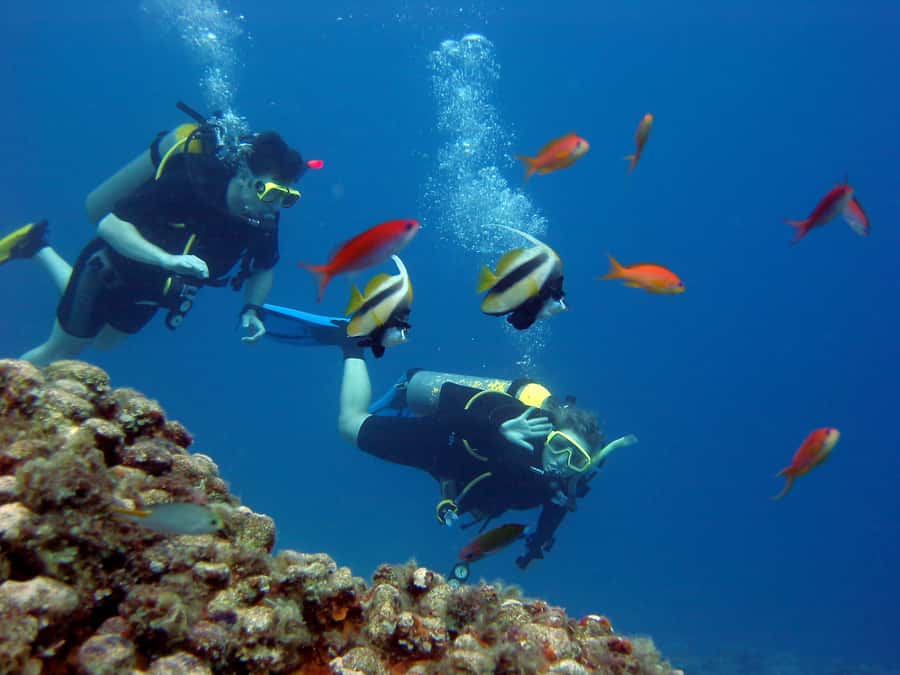 Hurghada Scuba Diving Trip with Pick-up, Lunch - Quick Key Points to Know Before You Go