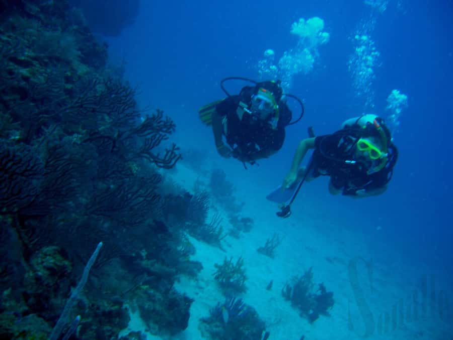 Hurghada Scuba Diving Trip with Pick-up, Lunch - On the Water: Scuba Gear, Safety Basics, and What You’ll Do First