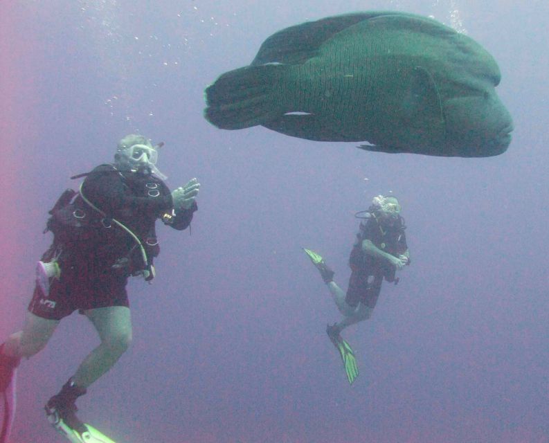 Hurghada Scuba Diving Trip with Pick-up, Lunch - Two Underwater Stops: How the Second Chance Changes the Experience