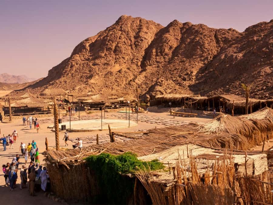 Hurghada: Sea & Desert Camel Ride w/Dinner, Show, Stargazing - Why a Hurghada Camel Ride Feels Like More Than a Photo Stop