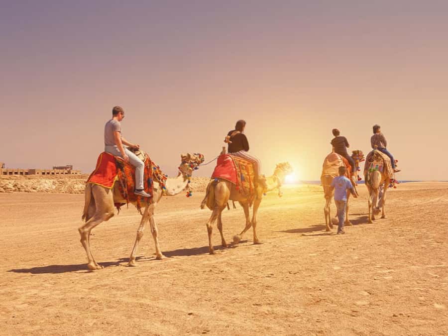 Hurghada: Sea & Desert Camel Ride w/Dinner, Show, Stargazing - The Two-Hour Camel Ride: Sand Valleys, Sea Views, and Mountain Light