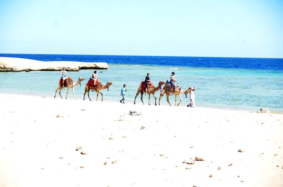 Hurghada: Sea & Desert Camel Ride w/Dinner, Show, Stargazing - Sunrise Camel and Oriental Breakfast: Early Light on the Red Sea Side