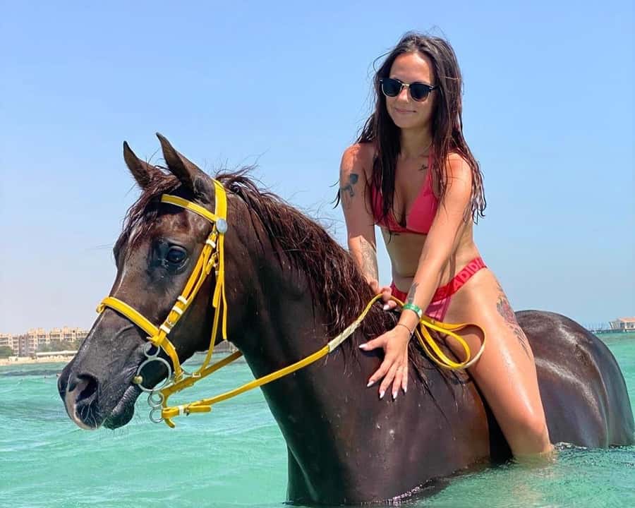 Hurghada: Sea & Desert Horse Riding tour/w Swimming&Transfer - Key things that make this ride worth your time