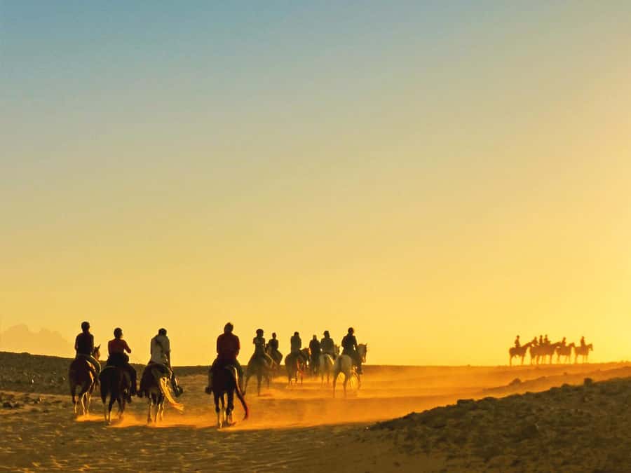 Hurghada: Sea & Desert Horse Tour, Stargazing, Dinner & Show - Quick Hits