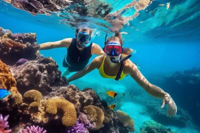 Hurghada: Snorkelling Trip by Speedboat with Hotel Pickup - The Speedboat Advantage: Why This Feels Different From Big Boats