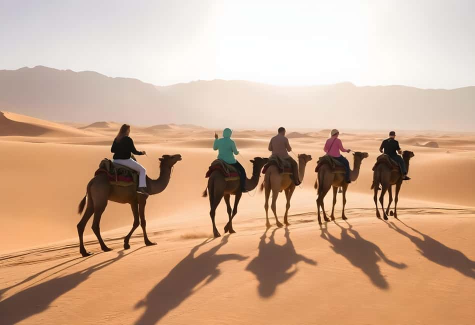 Hurghada: Star Watching Desert Adventure by Jeep with Dinner - Key things to know before you go