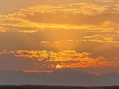 Hurghada: Sunset Camel Ride with Dinner - Camel Ride at Sunset: how it feels and what makes it special