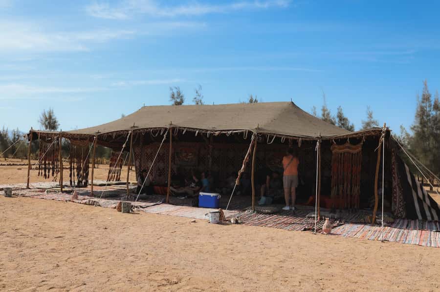 Hurghada: Sunset Camel Ride with Dinner - Tips to make the evening smoother