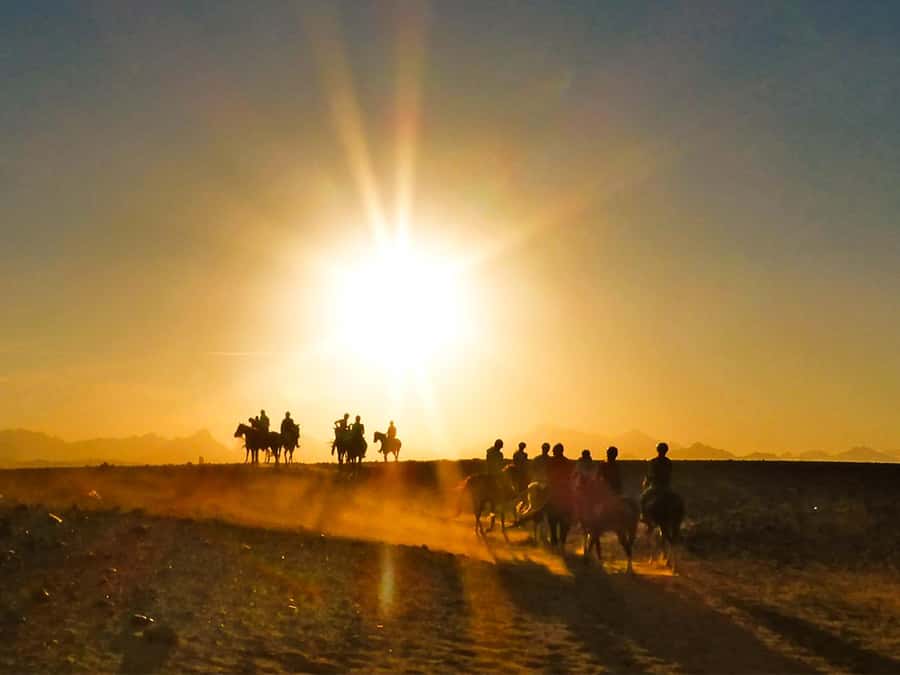 Hurghada: Sunset Sea, Desert Horse W Opt, Dinner, Stargazing - The desert-to-the-sea ride is the main event