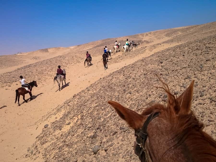 Hurghada: Sunset Sea, Desert Horse W Opt, Dinner, Stargazing - The optional Red Sea swim: cool water, only in the longer VIP plan