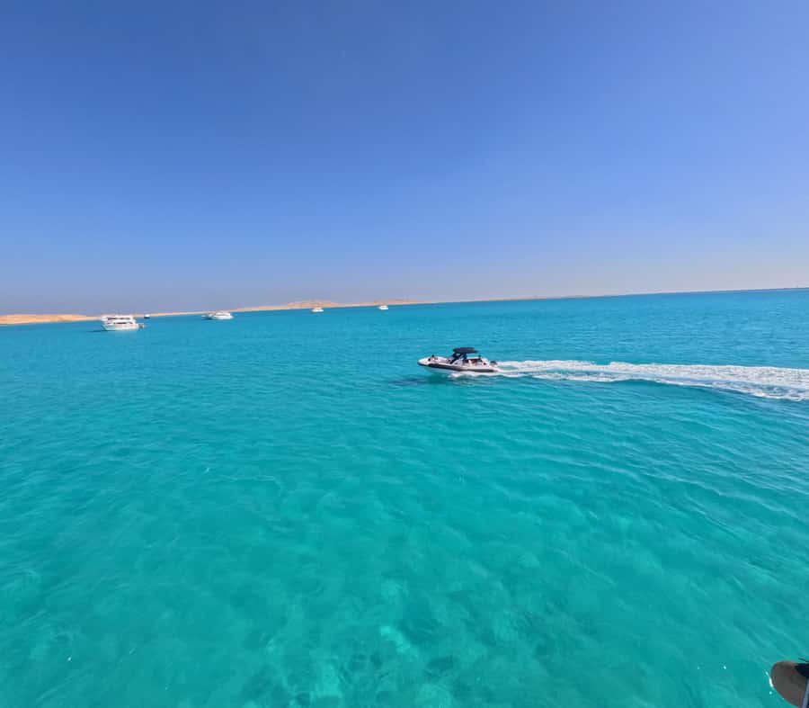 Hurghada: Turtle Bay Speedboat Tour with Snorkeling - Guides, Care, And The Tone Of The Day