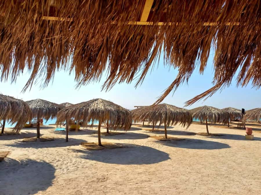 Hurghada: Yacht trip To Magawish island w Snorkeling & Lunch - Who this trip suits best (and who should adjust expectations)