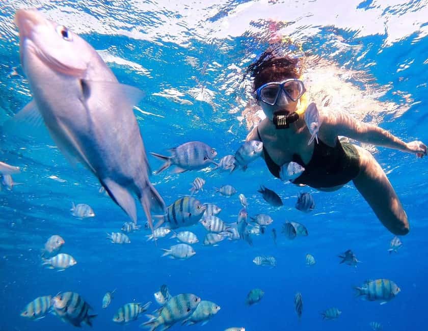 Hurghada:Eden Island Full-Day Trip with Water sports & Lunch - Hurghada to Eden Island: what this day trip is really like