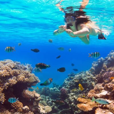 Hurghada:Luxury Diving & Snorkeling inc/Island/Lunch/Massage - Price and Value: What $58 Really Covers