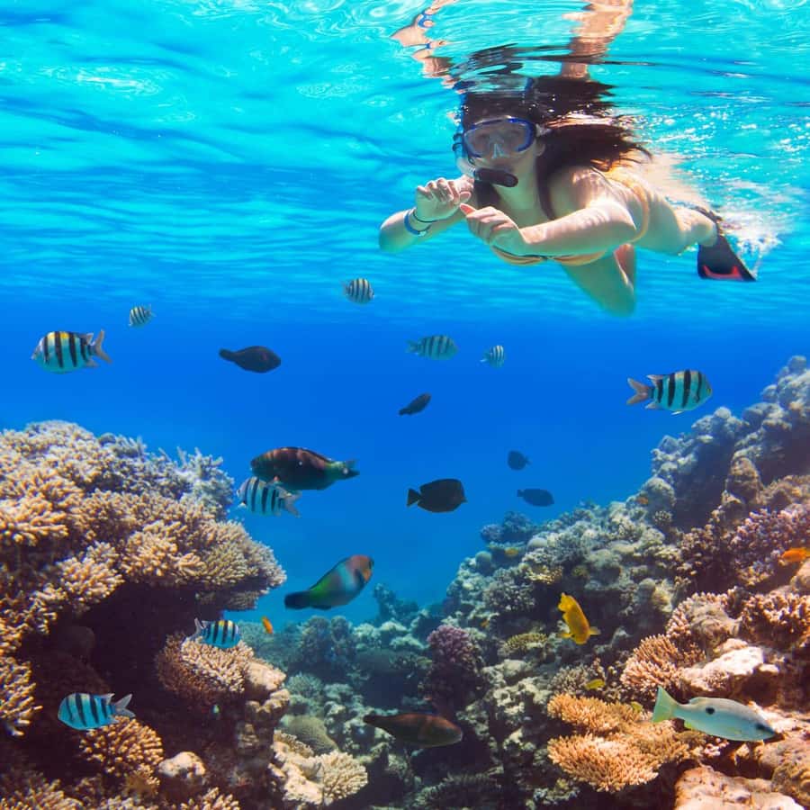 Hurghada:Luxury Diving & Snorkeling inc/Island/Lunch/Massage - Price and Value: What $58 Really Covers