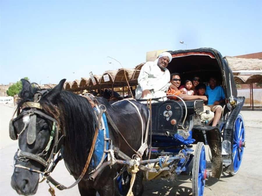 Luxor City Tour by Horse Carriage Visit Local - Key things to know before you go