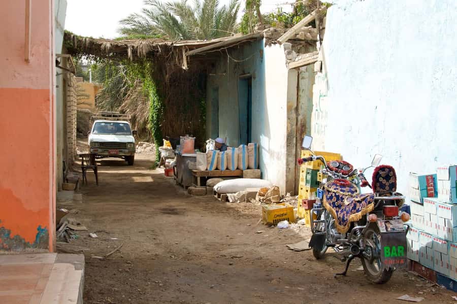 Luxor City Tour by Horse Carriage Visit Local - Optional Karnak Sound & Light Show: add-on for the evening mood