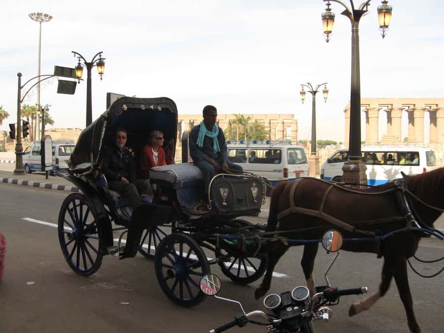 Luxor City Tour by Horse Carriage Visit Local - Horse carriage in Luxor: why it works on the east bank