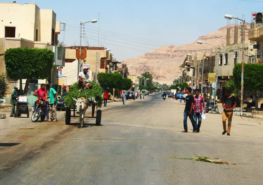 Luxor City Tour by Horse Carriage Visit Local - The ride itself: calm views, good photo timing
