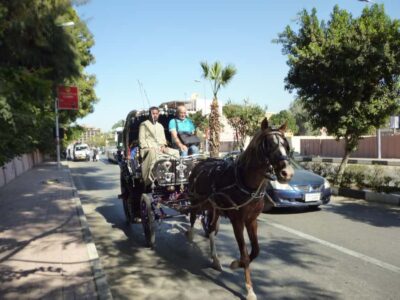 Luxor City Tour by Horse Carriage Visit Local - Getting picked up and meeting your English guide