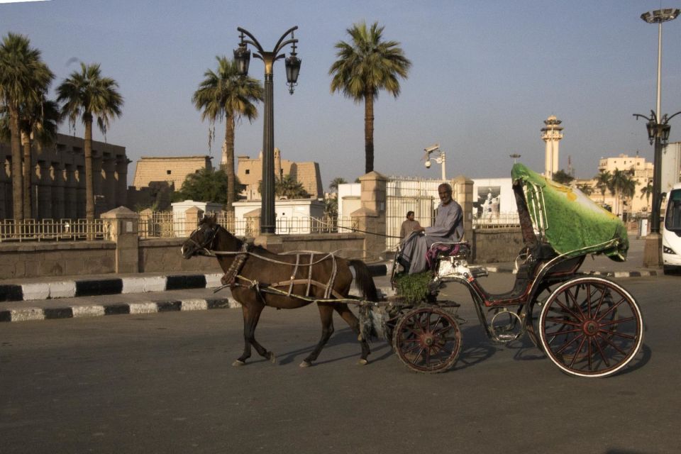 Luxor City Tour by Horse Carriage Visit Local - Coptic Christian churches along the east bank