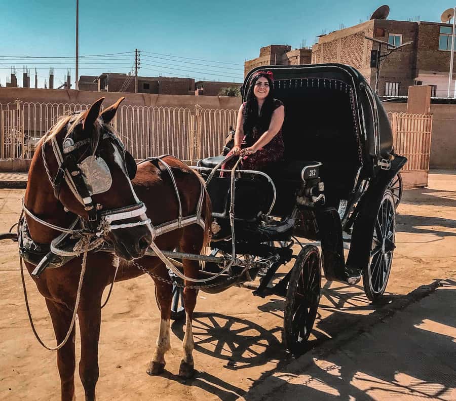 Luxor City Tour by Horse Carriage Visit Local - Luxor Temple with Ramses II: one of the big statements