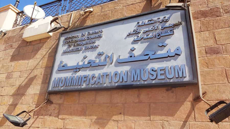 Luxor: Private Tour to Luxor Museum & Mummification Museum. - Lunch and the short break that keeps the day enjoyable