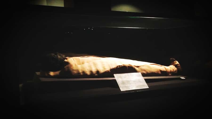 Luxor: Private Tour to Luxor Museum & Mummification Museum. - Private guide energy: what makes the experience feel personal