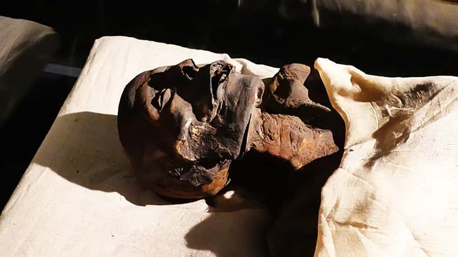 Luxor: Private Tour to Luxor Museum & Mummification Museum. - Should you book this Luxor private tour?