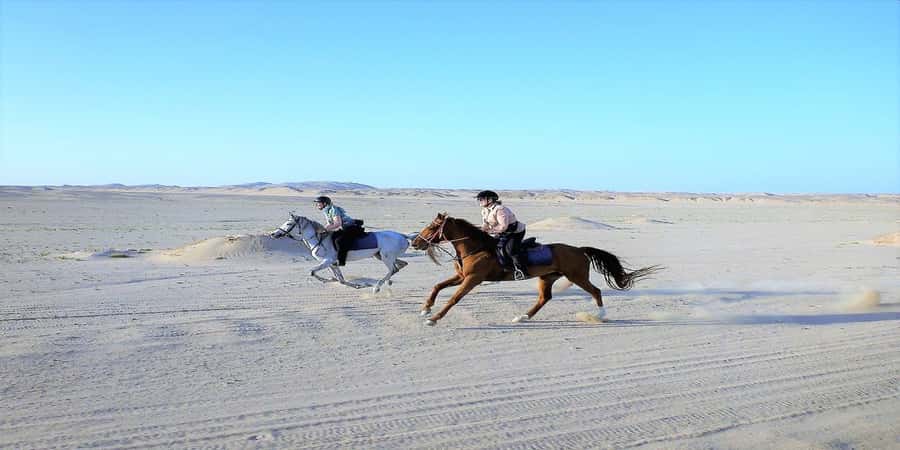 Luxor: Scenic Camel or Horse Ride - Practical expectations: timing, nerves, and keeping things calm