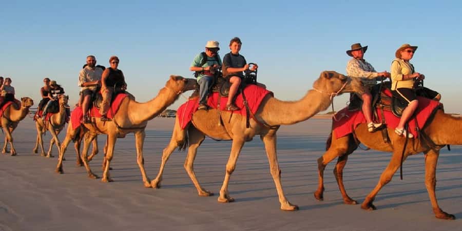 Luxor: Scenic Camel or Horse Ride - Camel or horse: comfort, control, and first-timer confidence